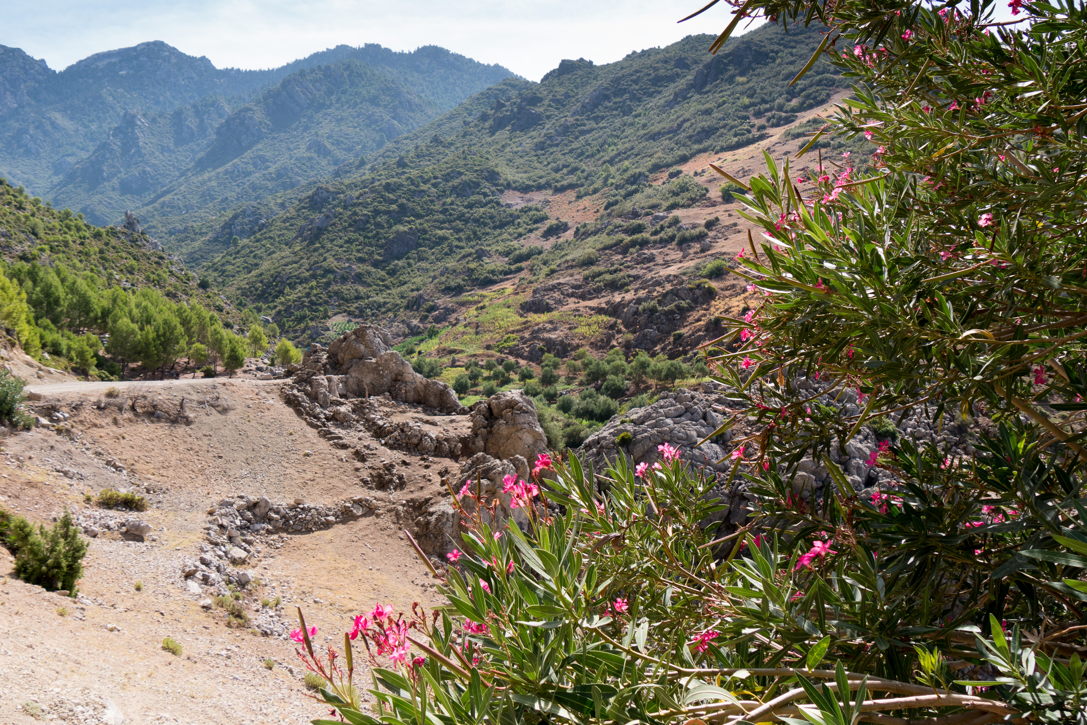 Gegend bei Chefchaouen